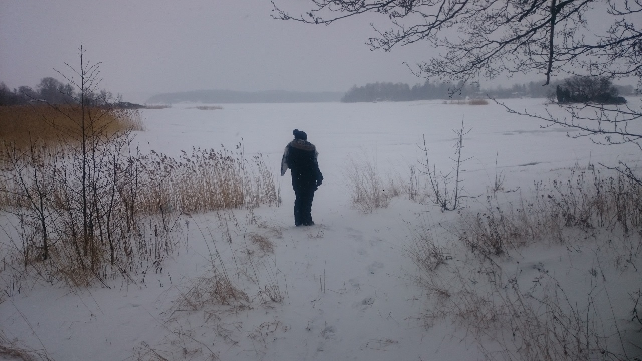 Aland im Winter