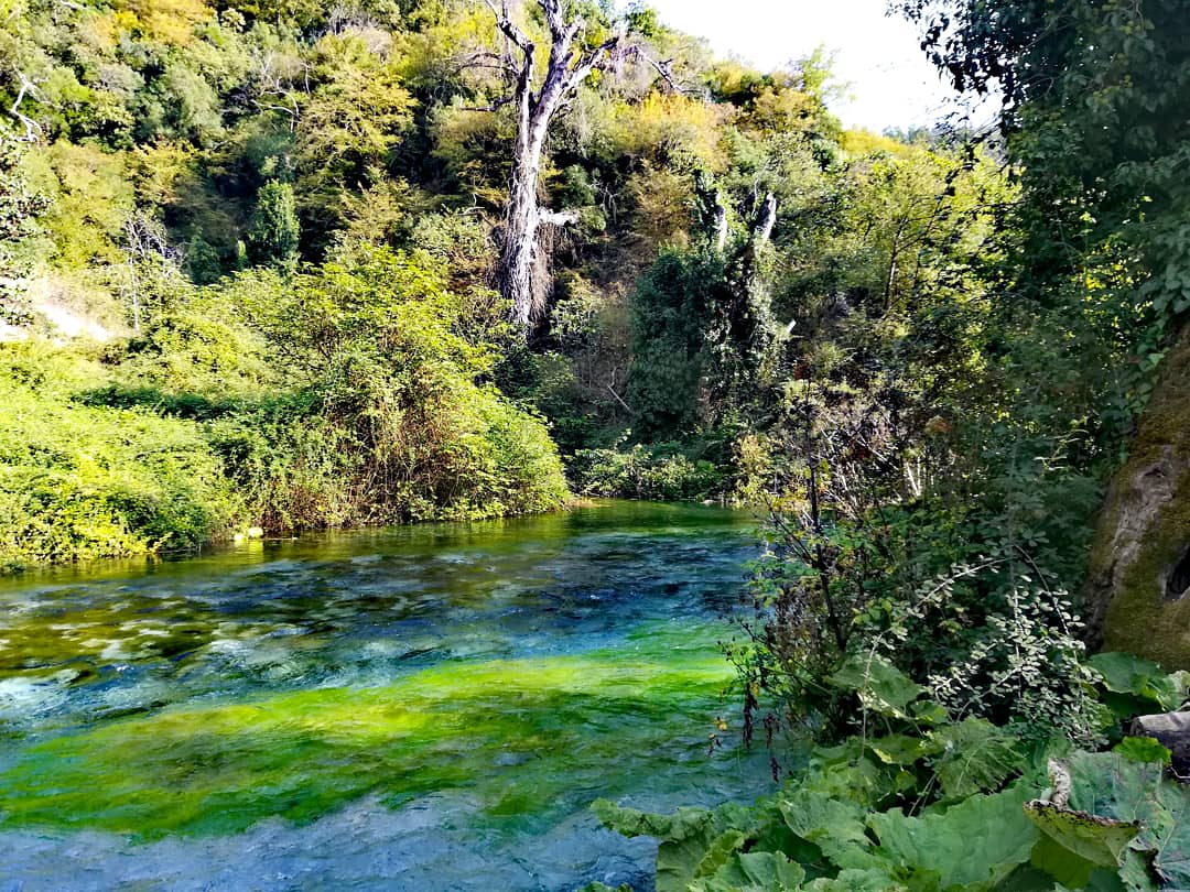 Read more about the article Albanien ins blaue Auge sehen – Blue Eye/Syri i Kaltër