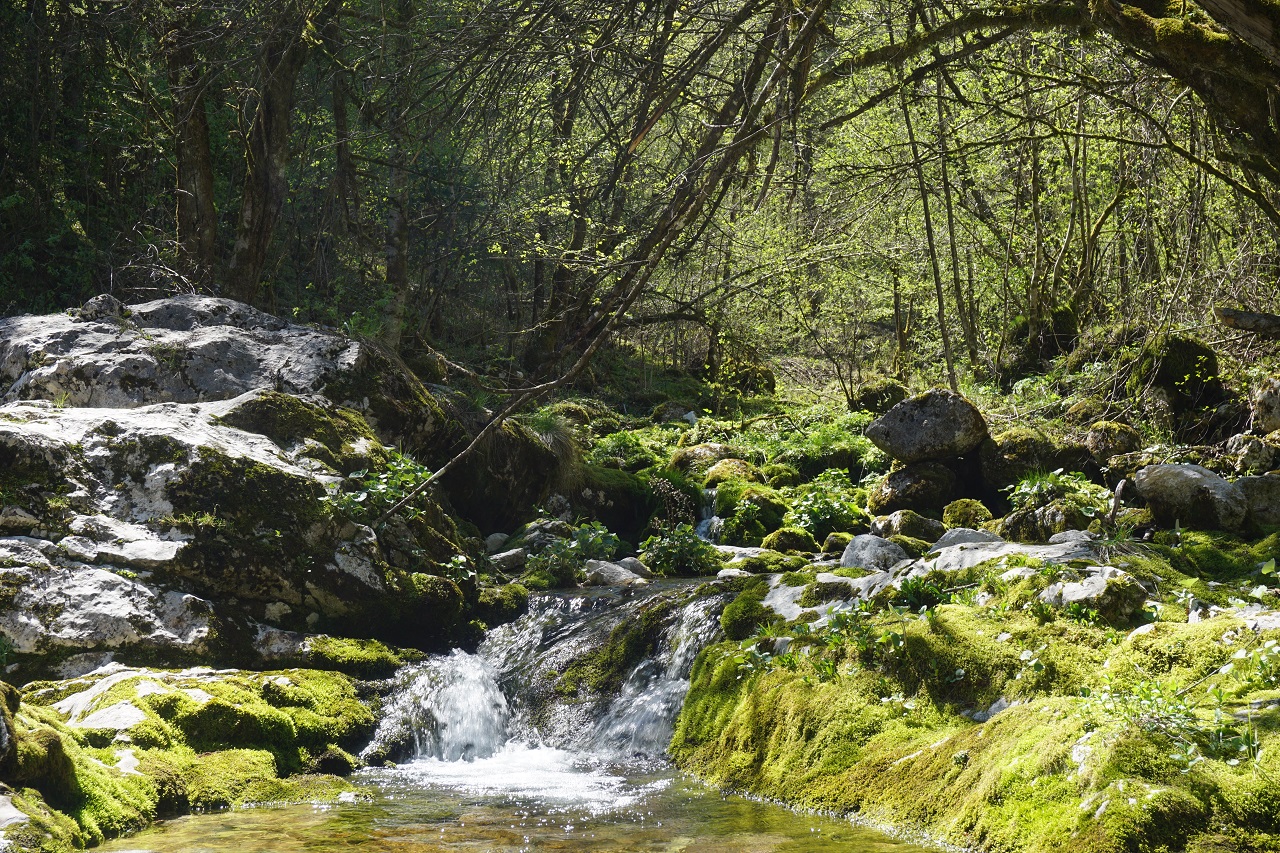 Mehr über den Artikel erfahren Slowenien Geheimtipp –  Sunikov Wasserfall im Lepena Tal