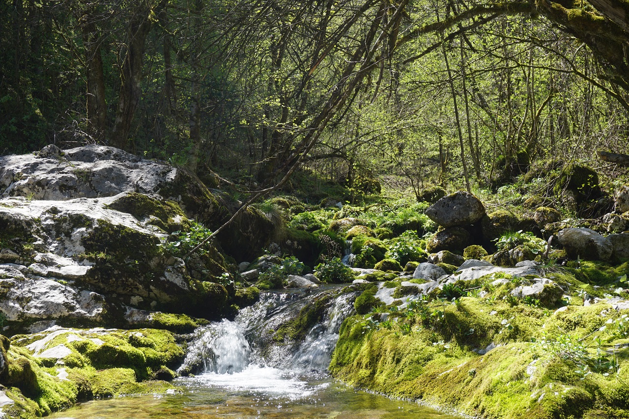 Read more about the article Slowenien Geheimtipp –  Sunikov Wasserfall im Lepena Tal