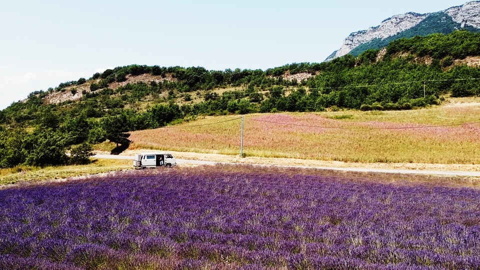 Lavendelfeld Provence Vanlife VW T3