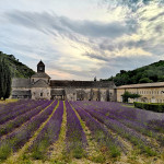 Provence Kloster Senaque Gordes