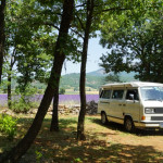 Campingplatz provence lavendelfeld vw bus van