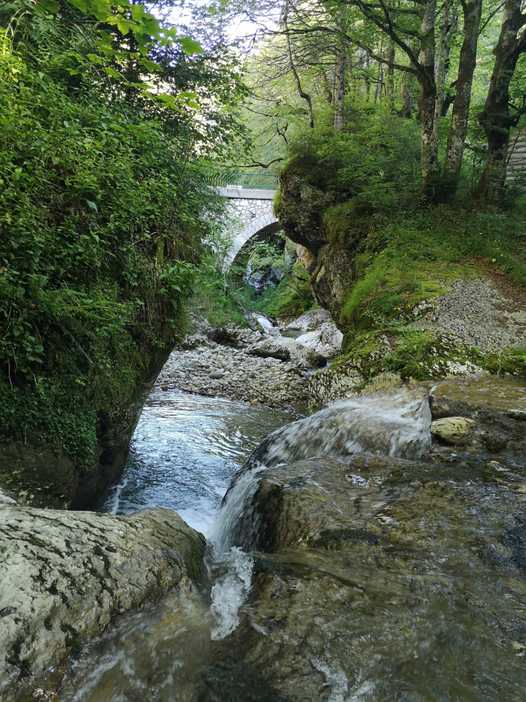 Ecouges Drevenne Fluss Brücke