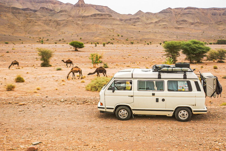 Mehr über den Artikel erfahren Zagora in Marokko – Sahara, Dromedare und 4×4