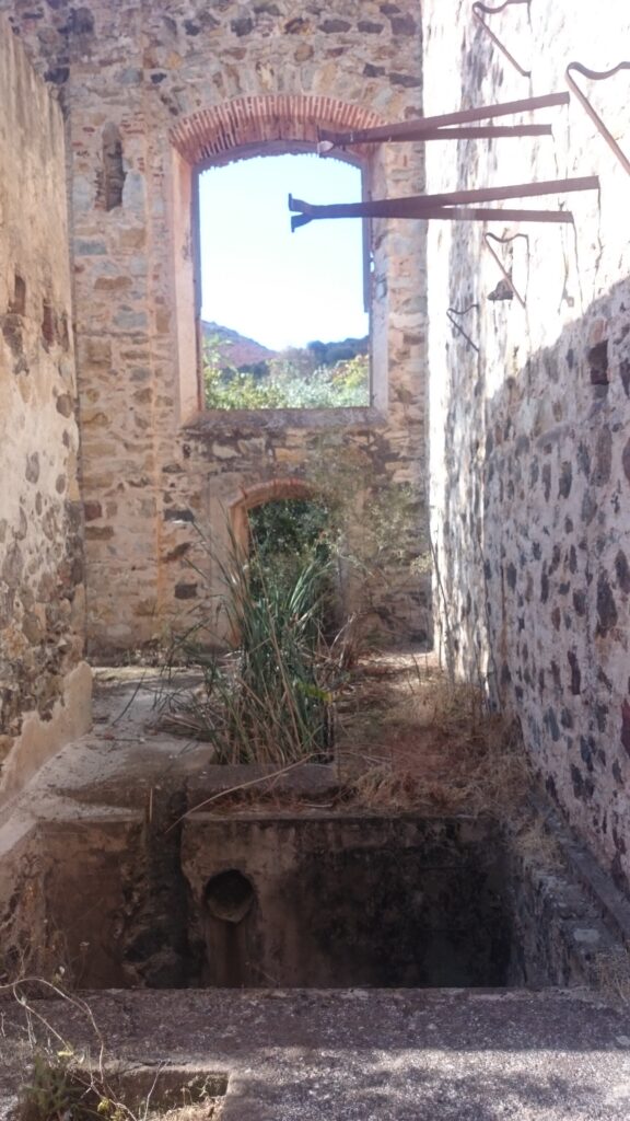 Corse galeria