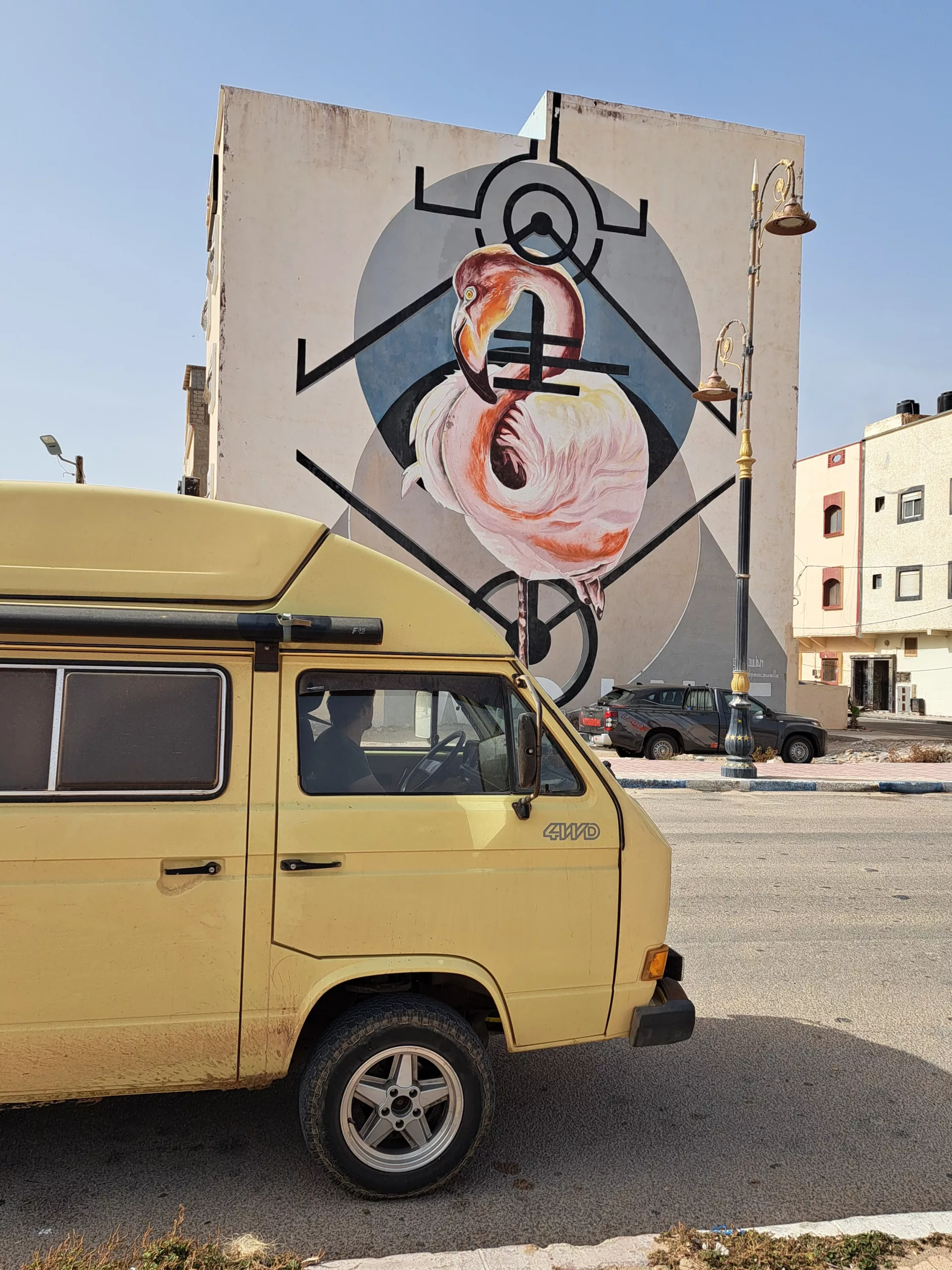 Dakhla Flamingo Streetart Wall Graffiti 