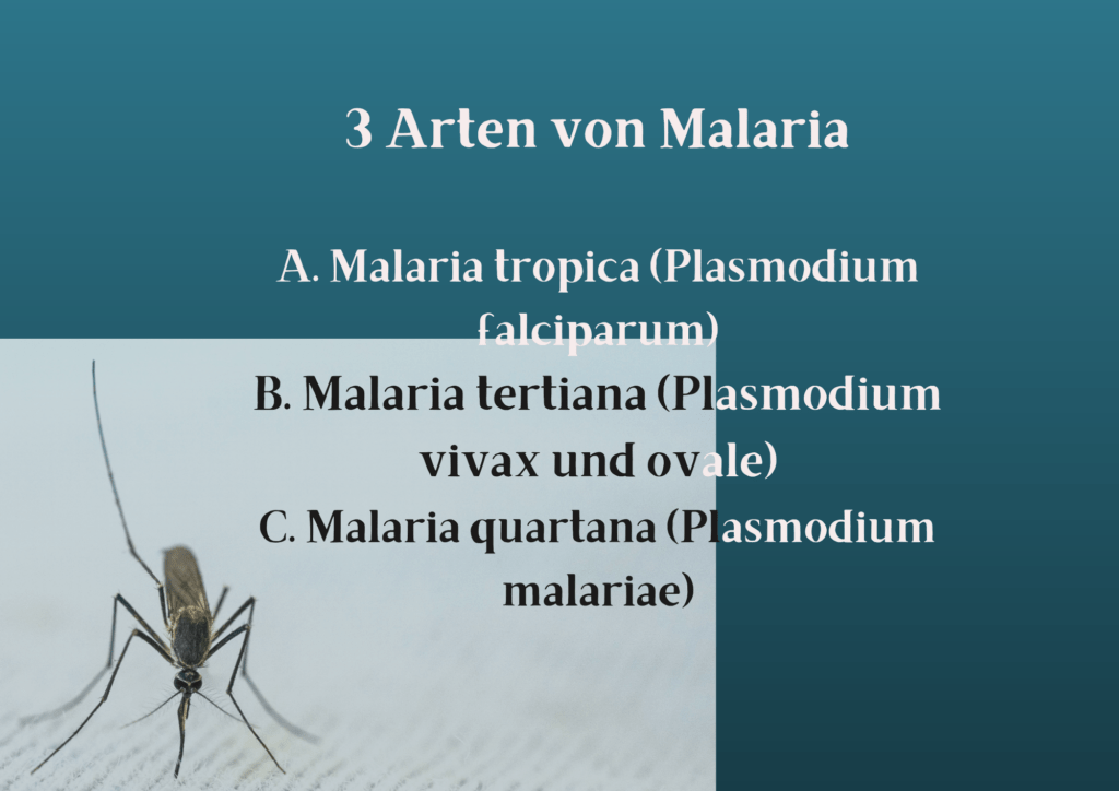 malaria afrika reisende stechmücken schutz moskitos gelbfieber