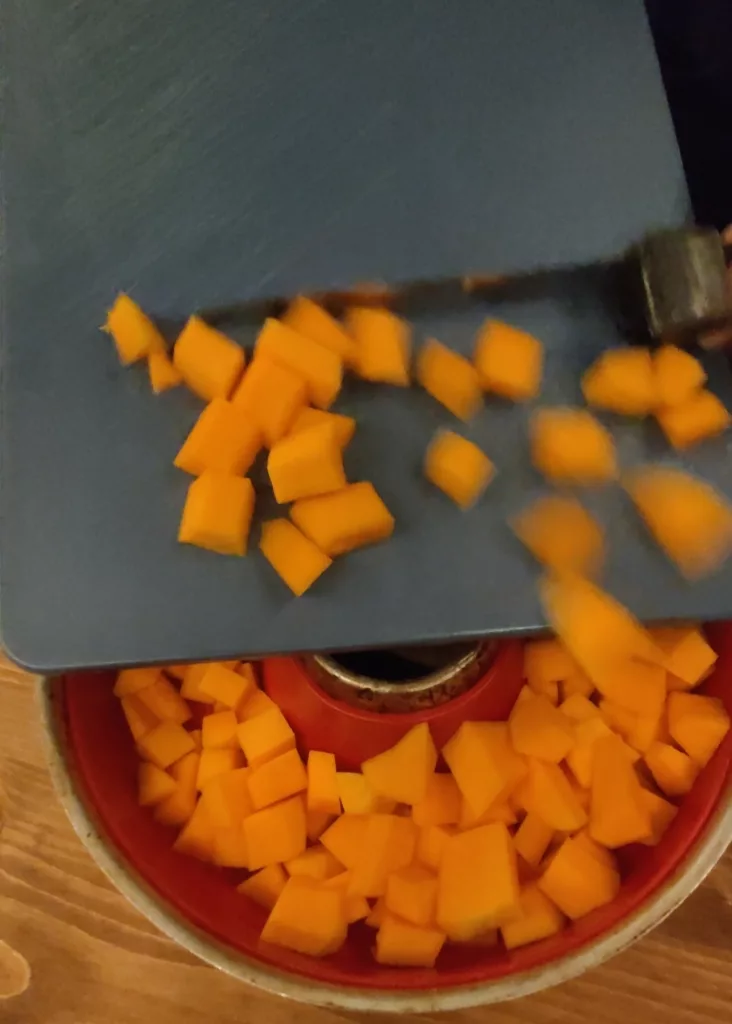 kürbis rezeot kochen camping unterwegs omnia oven